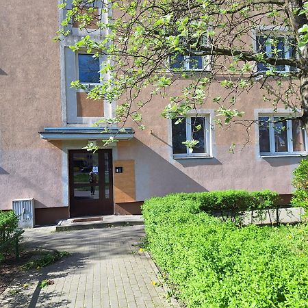 Apartament Katrin II Торунь Экстерьер фото